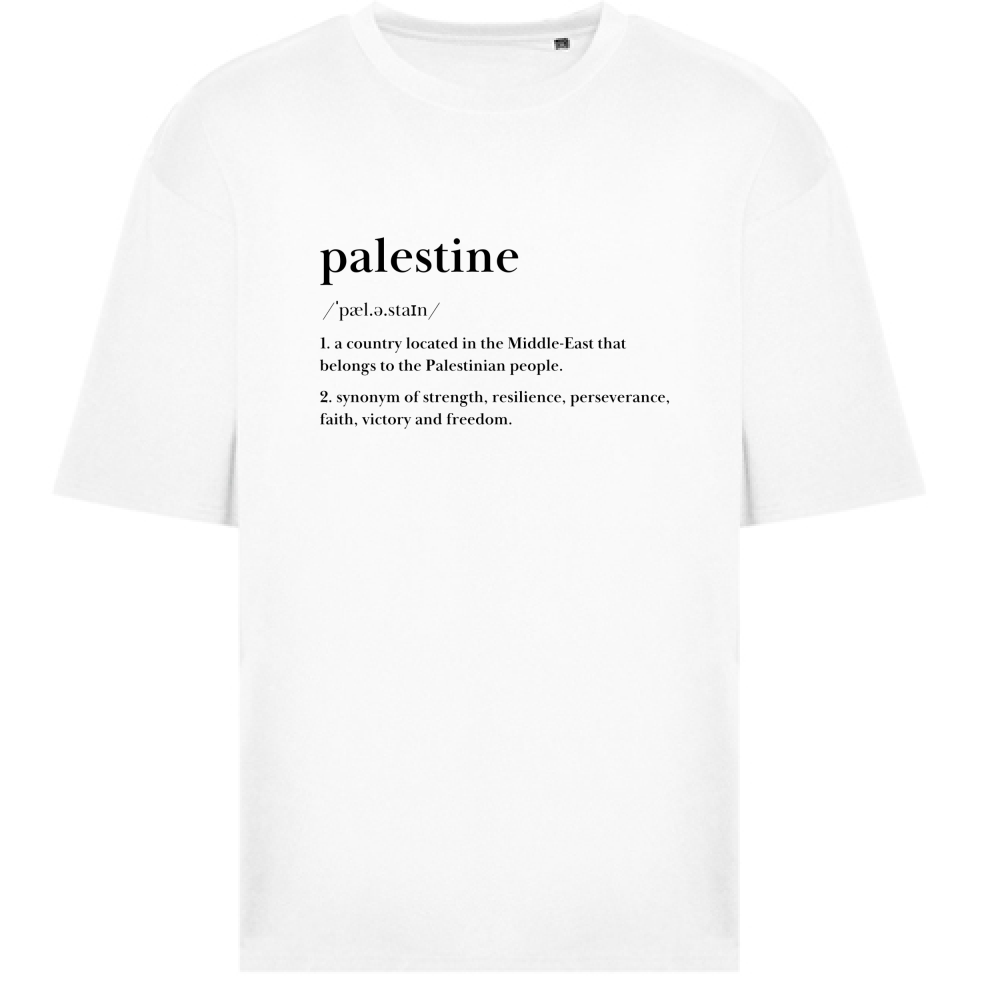 T-Shirt Oversize - Palestine 🍉