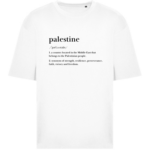 Oversize T-Shirt - Palestine 🍉